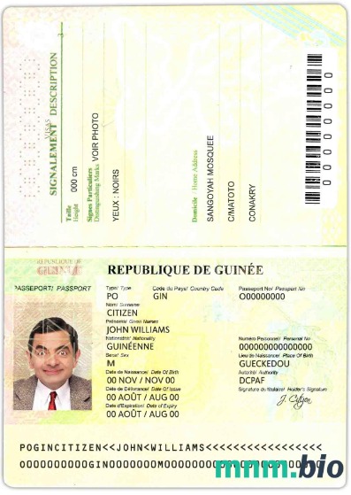 Paszport Gwinei (2014-2018) przykład w formacie PSD